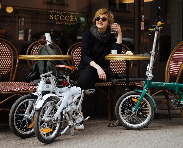 Bicicleta Plegable / Folding bicycle