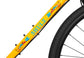 SHULZ Ruta 40