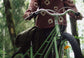 SHULZ Flower Bud Fairy